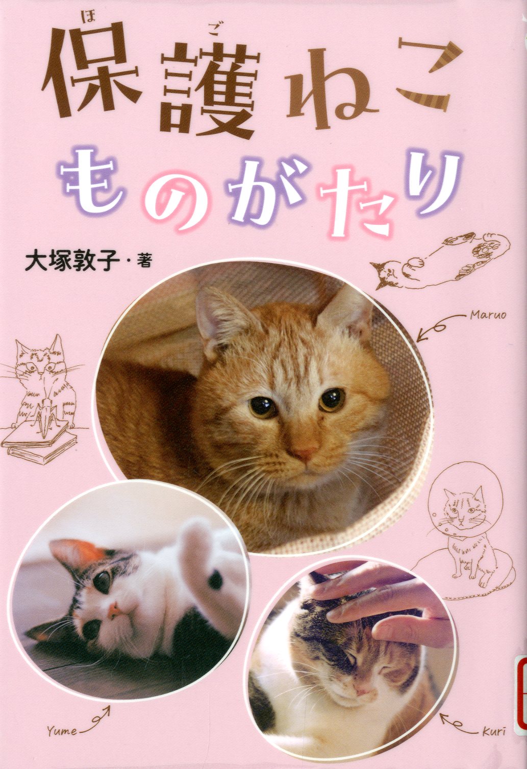 november_recommend.jpg